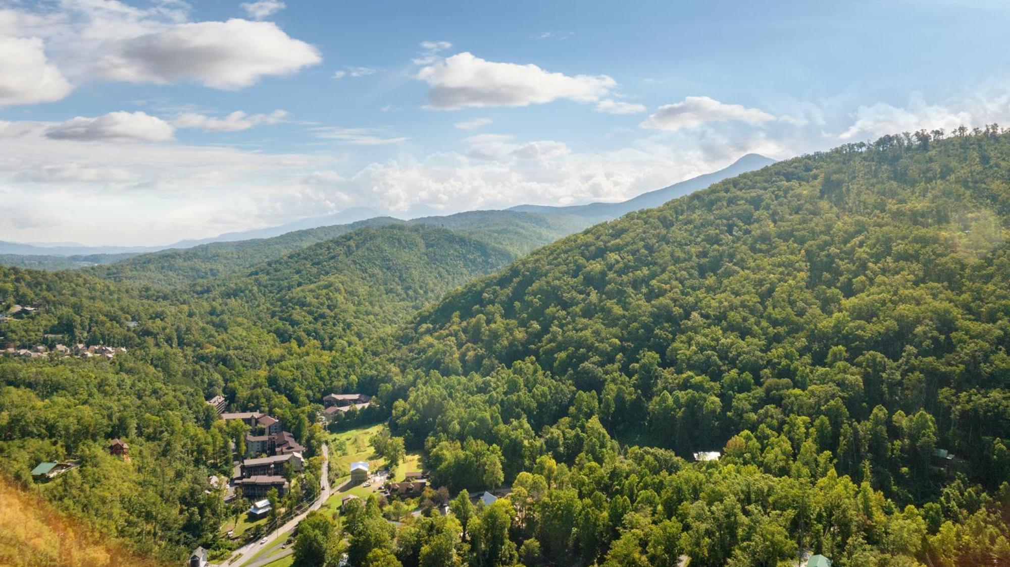 Baloo'S Bungalow Gatlinburg Esterno foto
